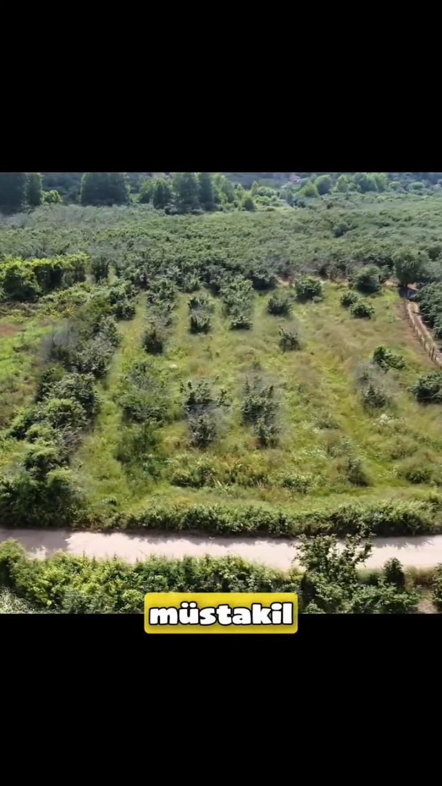 Karasu Kuyumculu 3.211 m² Müstakil Fındık Bahçesi