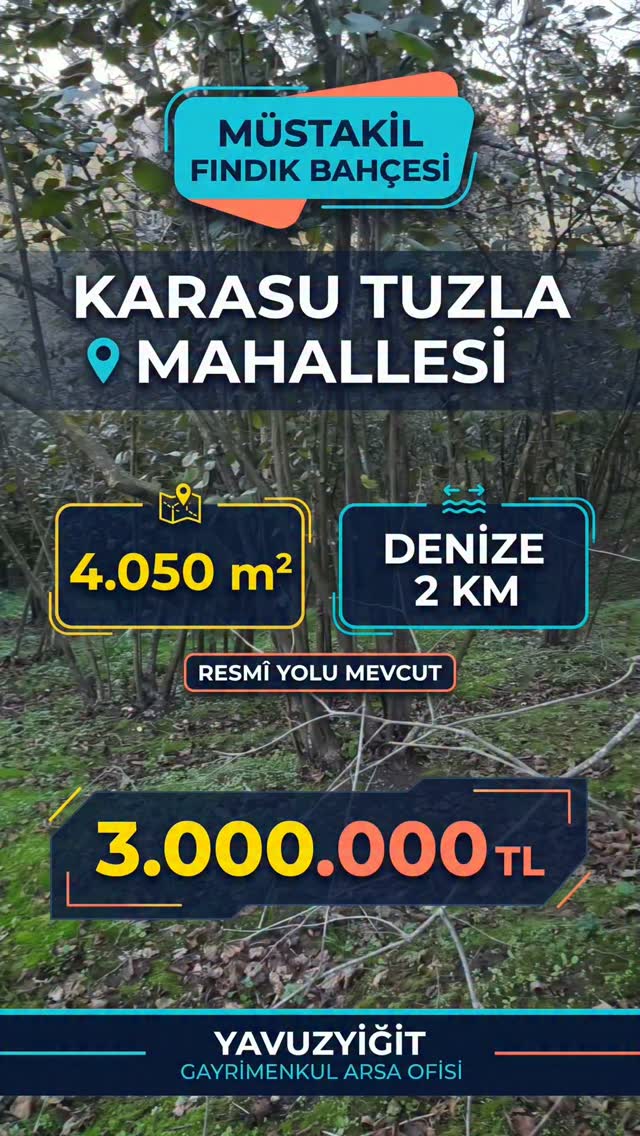 Karasu Tuzla 4.050 m² Fındık Bahçesi